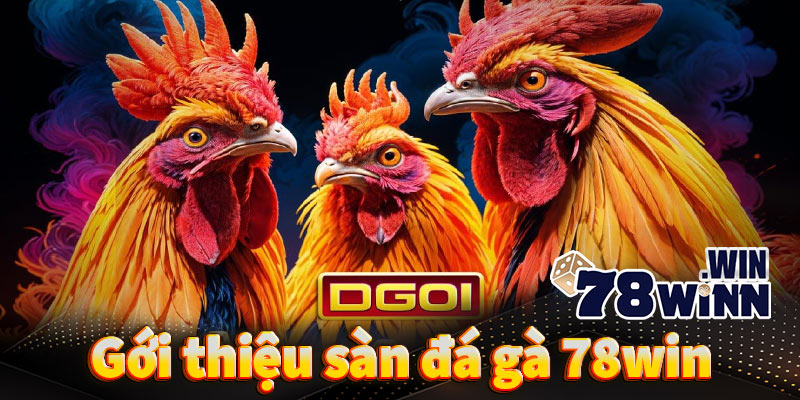 Giới thiệu về đá gà 78win và những lý do bạn nên trải nghiệm