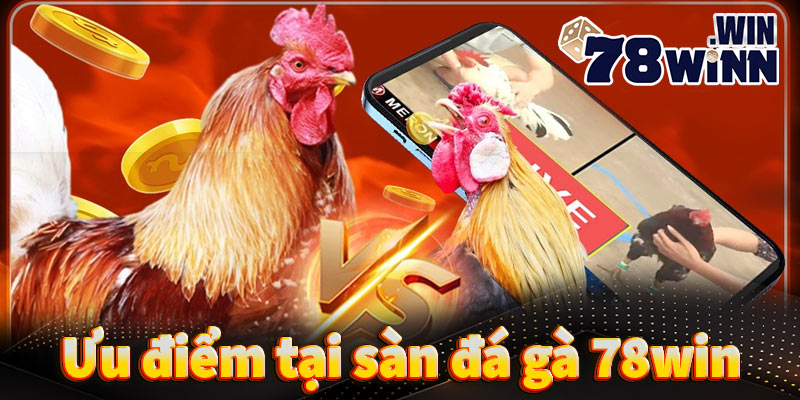 Những ưu điểm chỉ có khi bạn trải nghiệm đá gà 78win